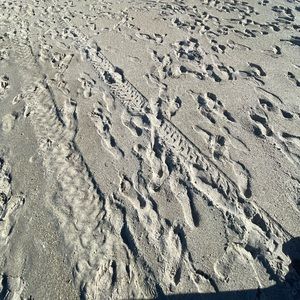 Meet your Posher, Harmony